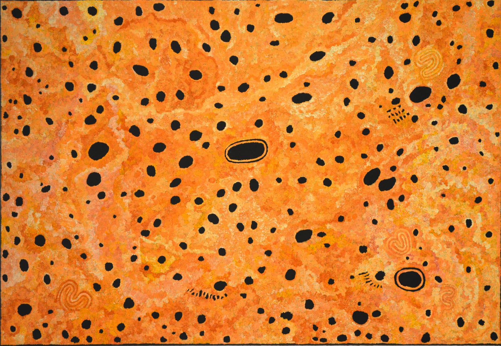 Alison Anderson, Untitled