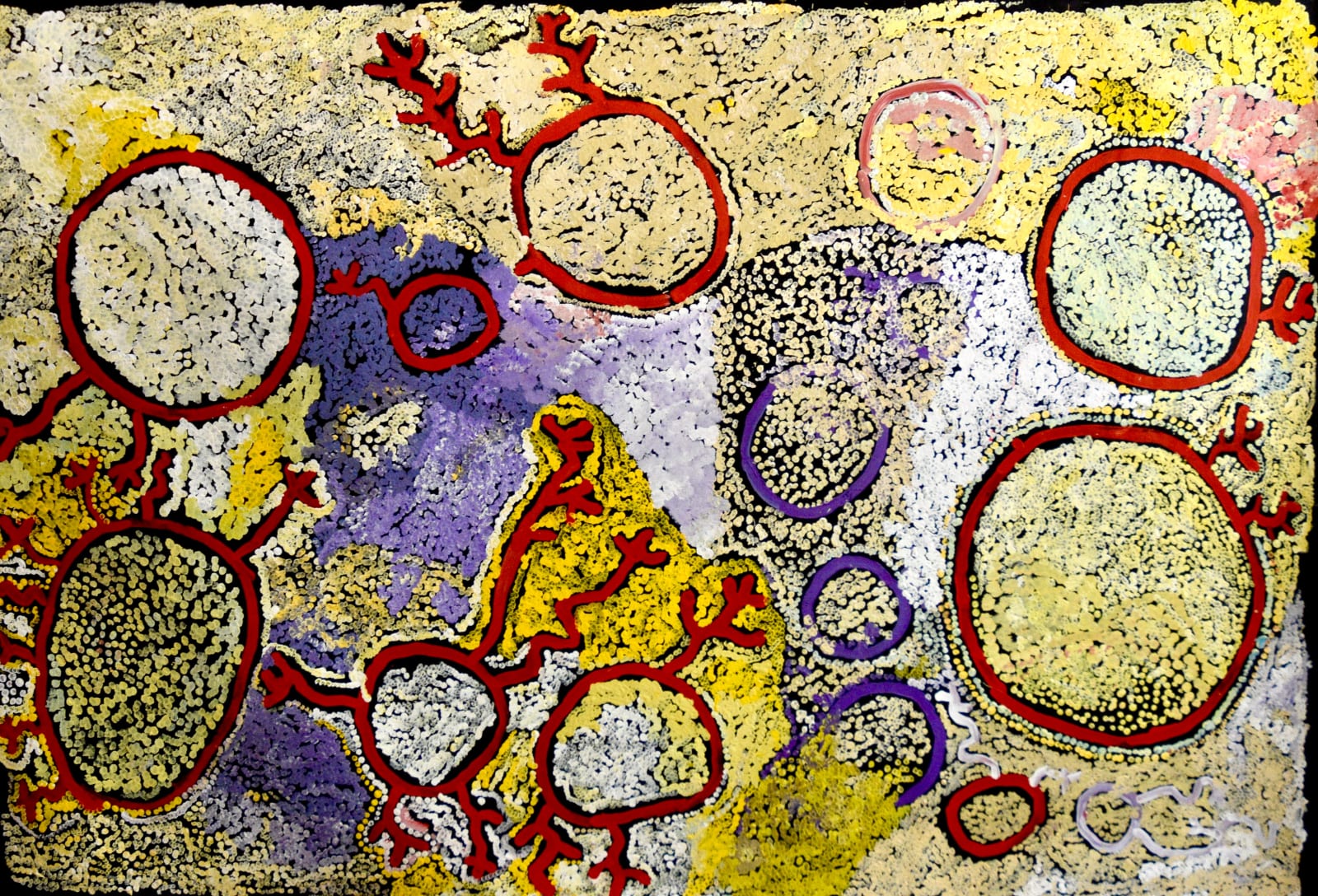 Simon Hogan, Lingka, 2022