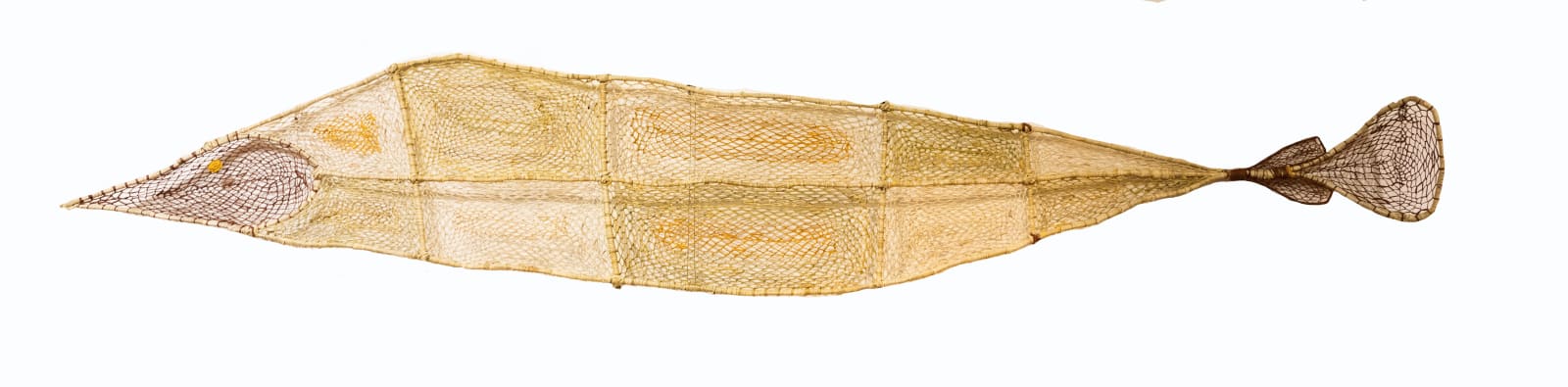 Alicia Mardday, Djenj (Fish), 2022