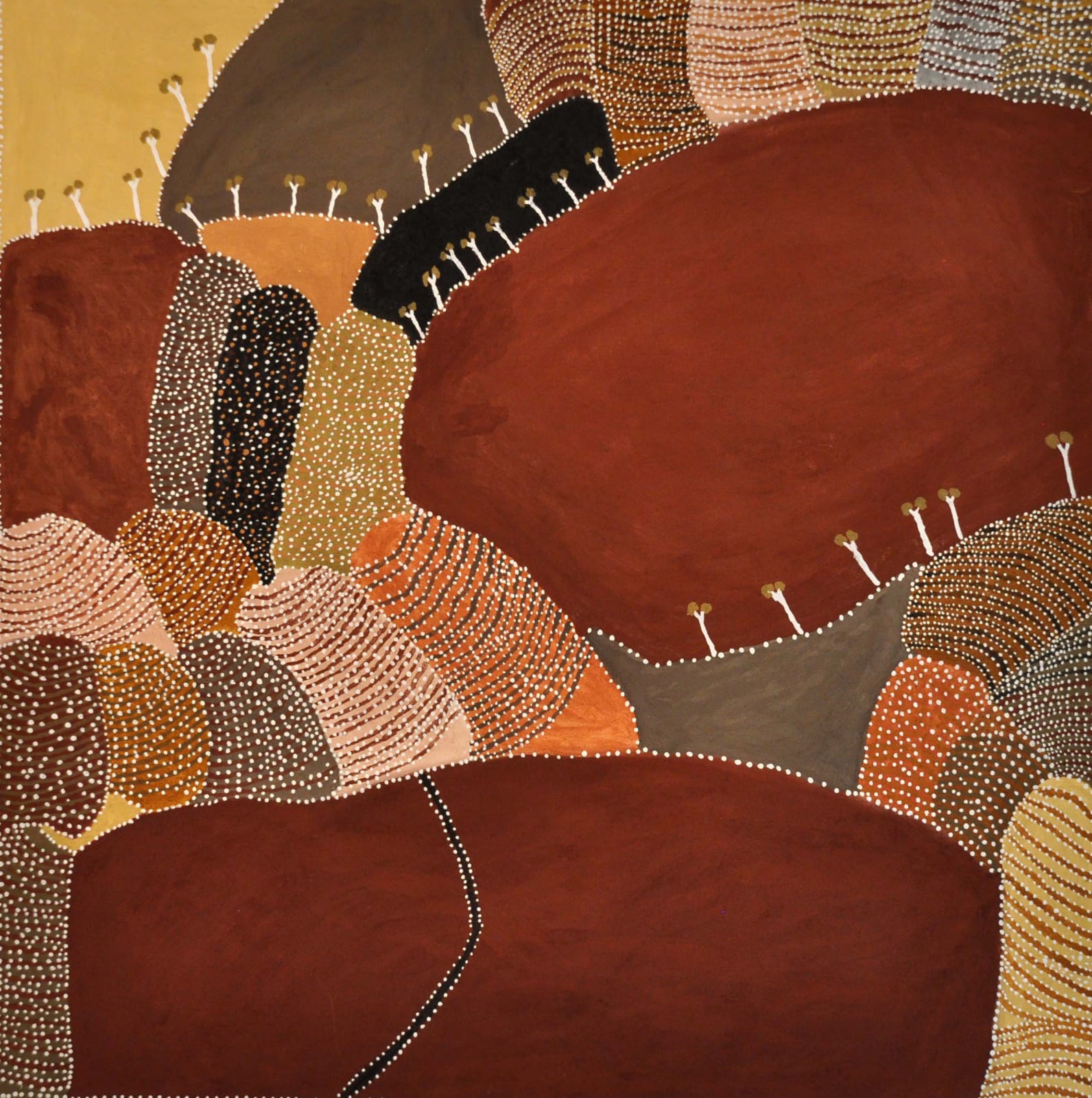 Patrick Mung Mung, Gairrawarran, Ground Sugarbag