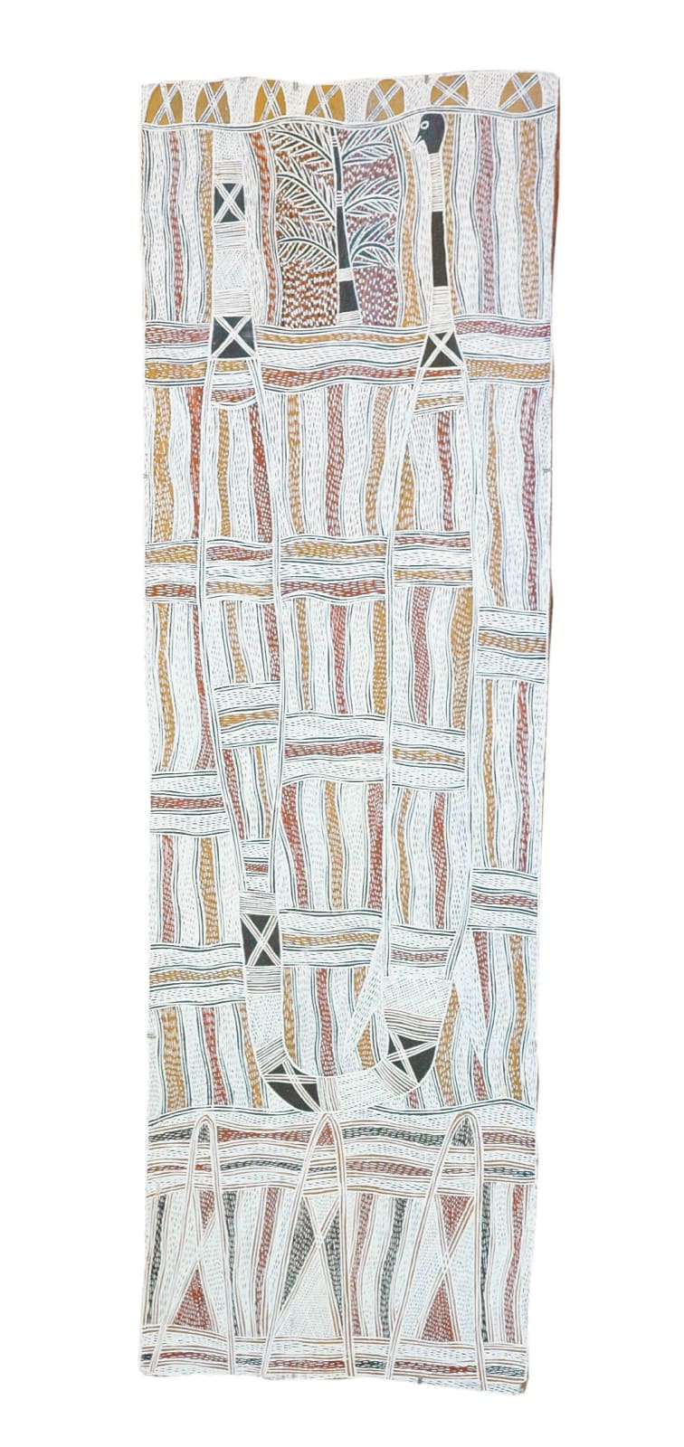 Galuma Maymuru, Guwak