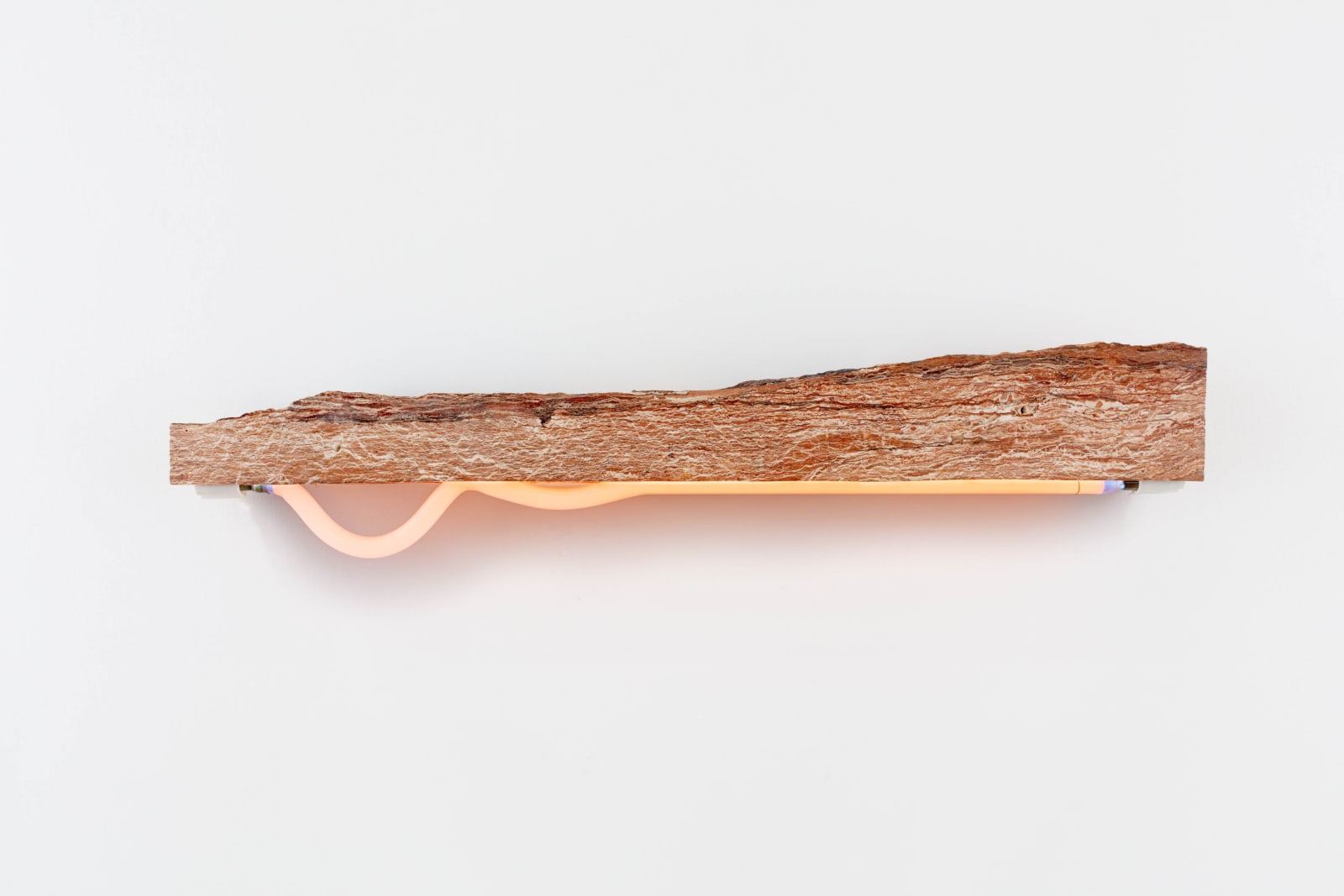 Cammie Staros, more naked than flesh, stronger than bone, 2021