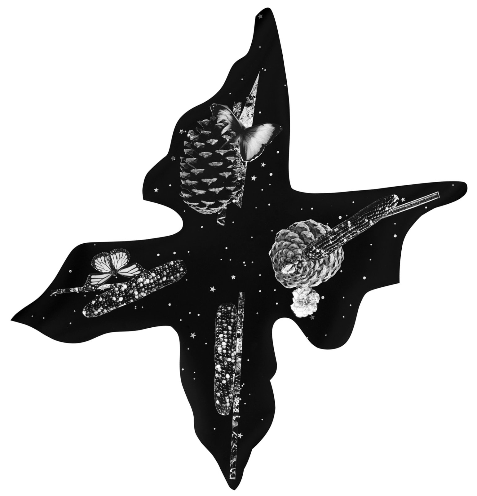 Fay Ray, Big Black Butterfly, 2018