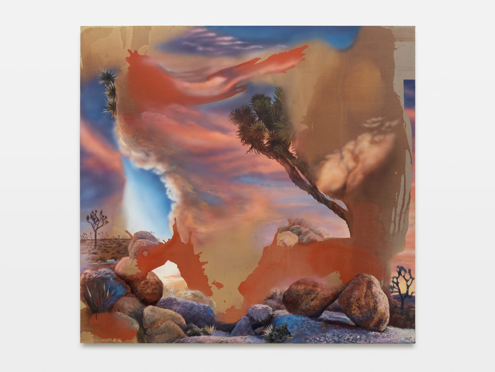 Annie Lapin, Joshua Tree//Relief of Relief from Sun, 2025