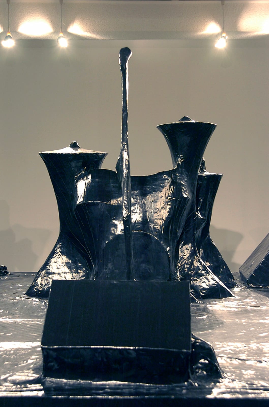 Naama Tsabar, Encore, 2007