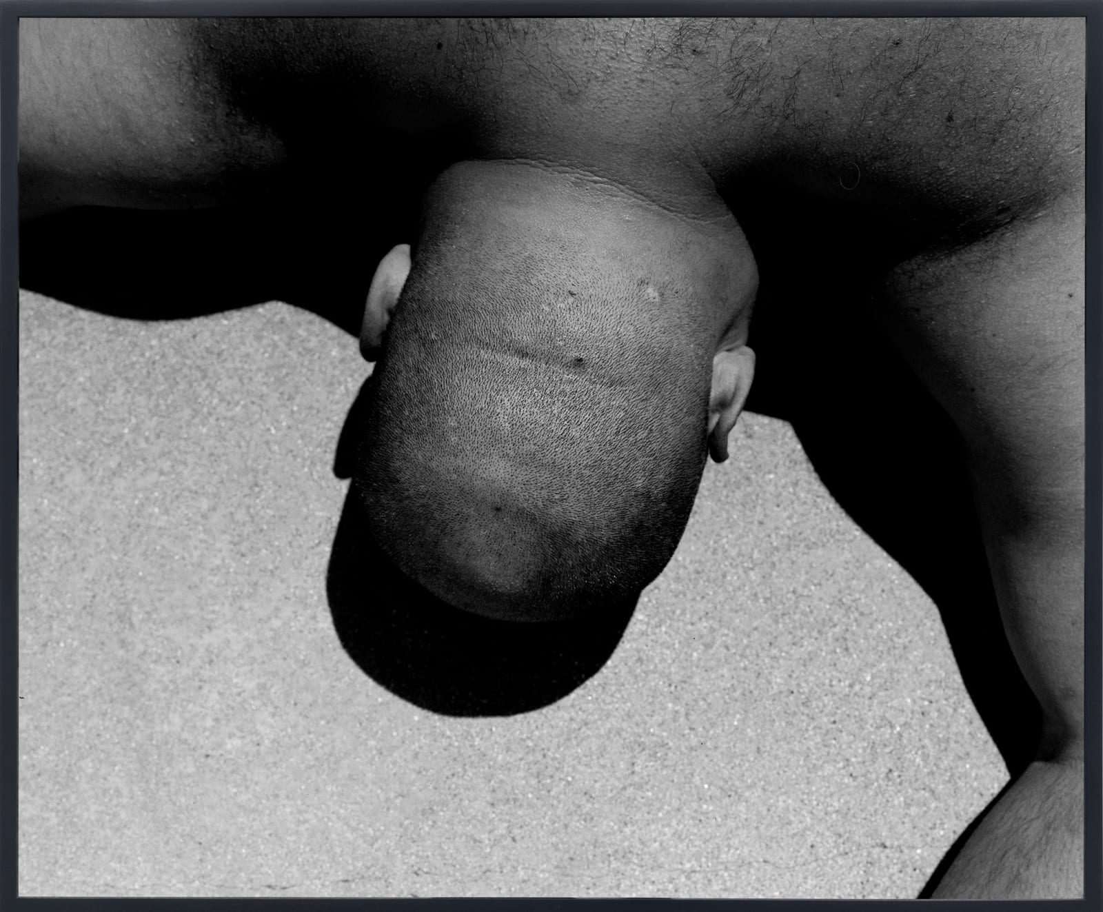 Mark McKnight, Ballerino, 2018