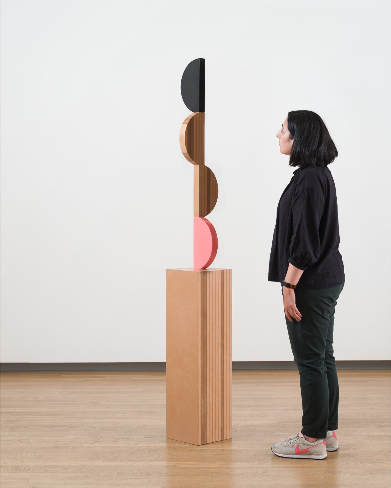 Reuven Israel, More Half Truths, 2020