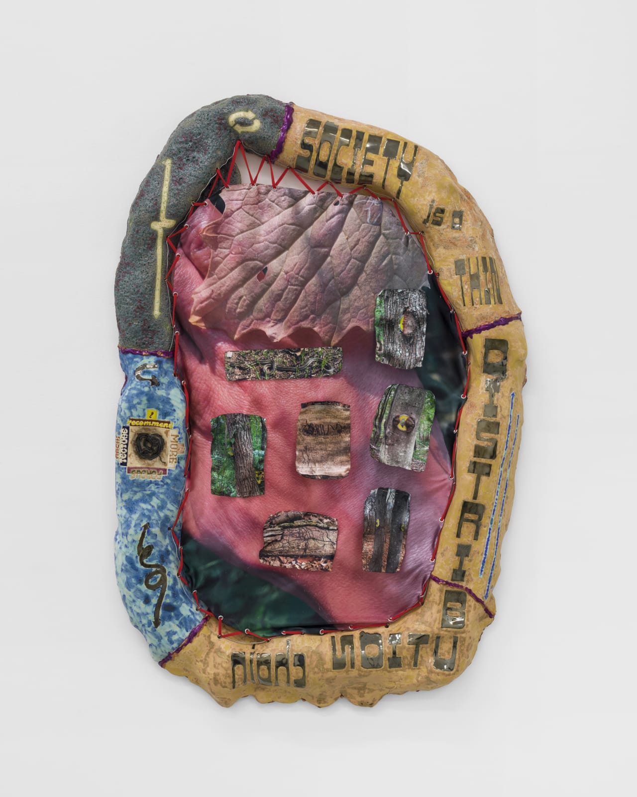 Manal Kara, Comparative Vasculature, 2022