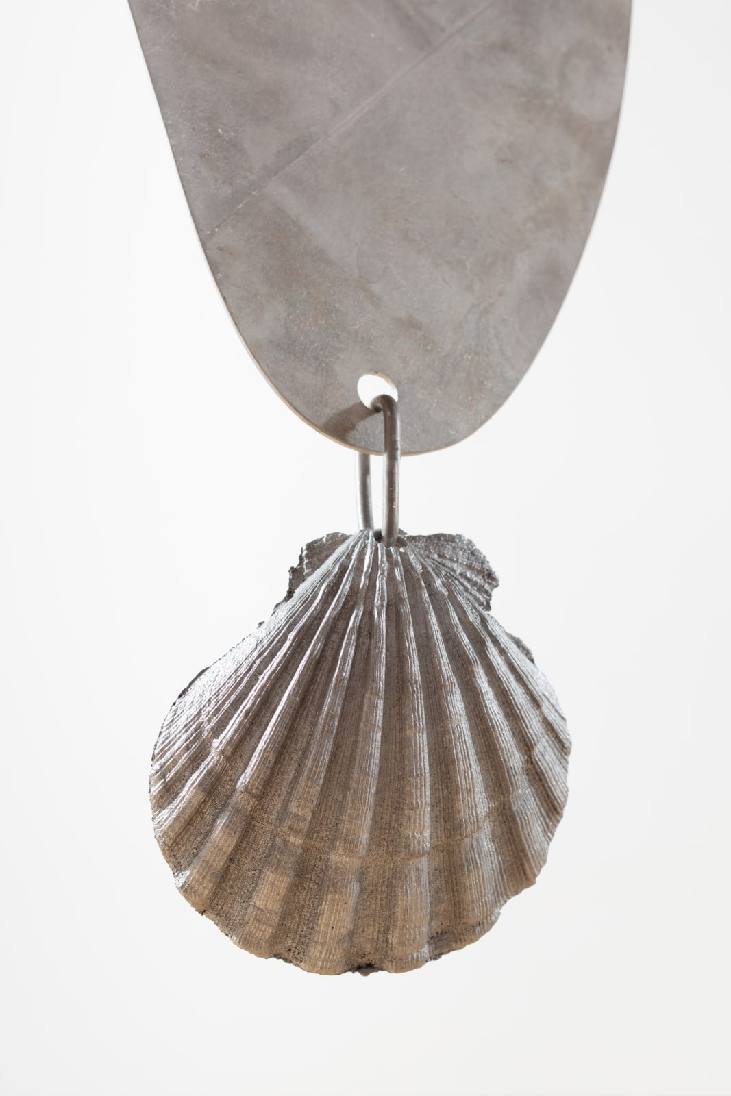 Fay Ray, Seaweed, 2021