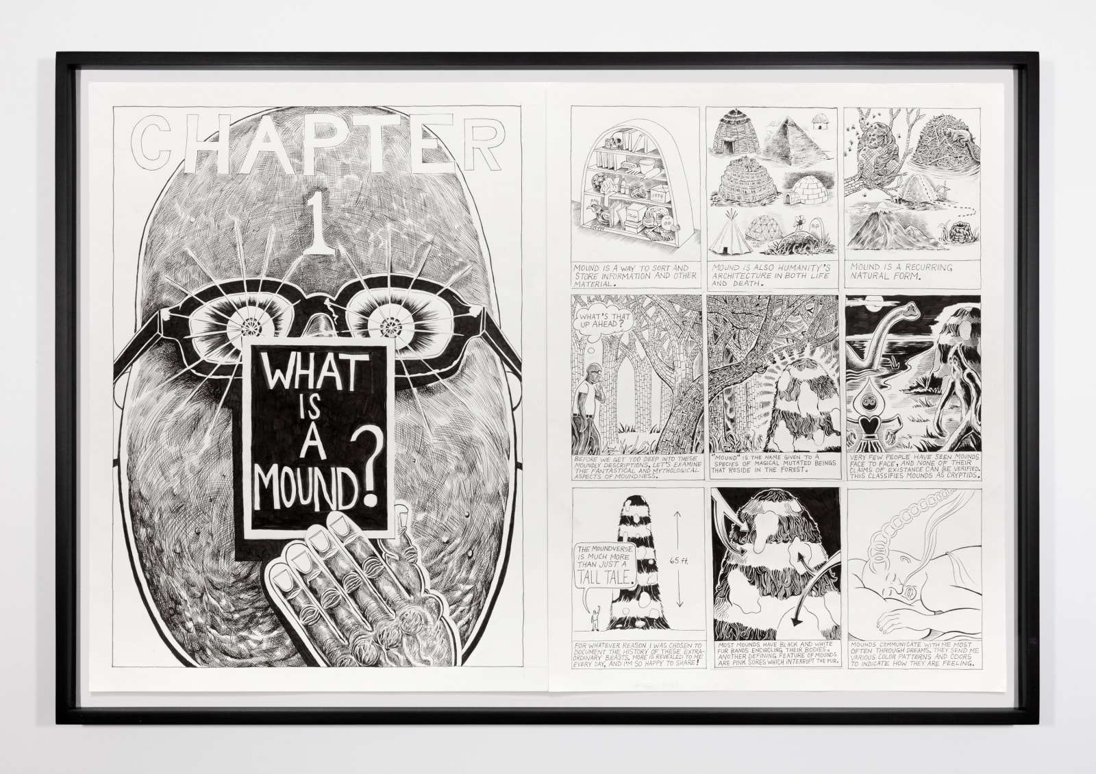 Trenton Doyle Hancock, Trenton Doyle Hancock Presents The Moundverse, Chapter 1: What is a Mound? Page 06 & 07, 2018