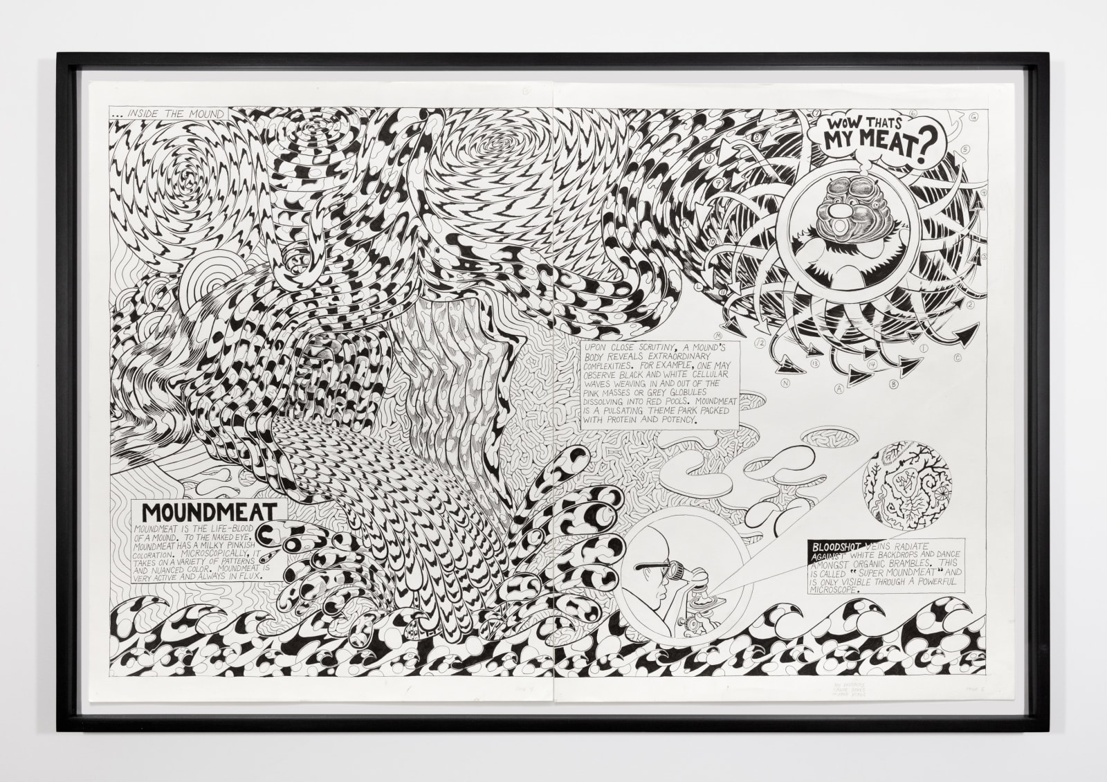 Trenton Doyle Hancock, Trenton Doyle Hancock Presents The Moundverse, Chapter 1: What is a Mound? Page 10 & 11, 2018