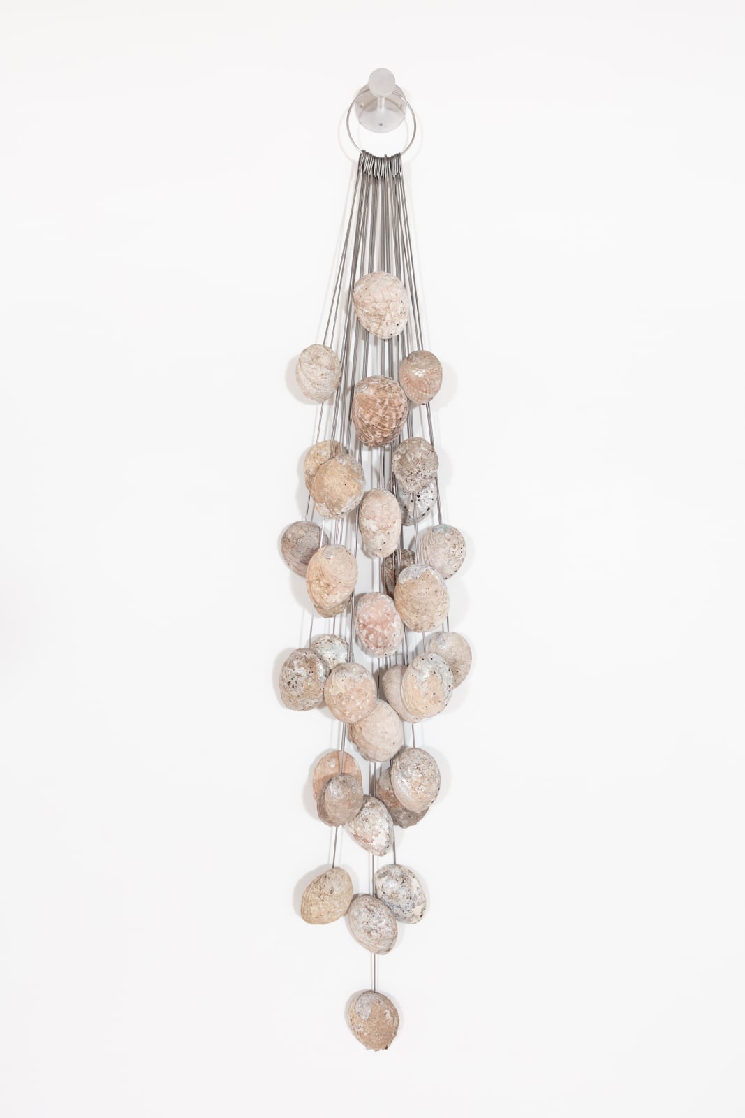 Fay Ray, Ceviche, 2021