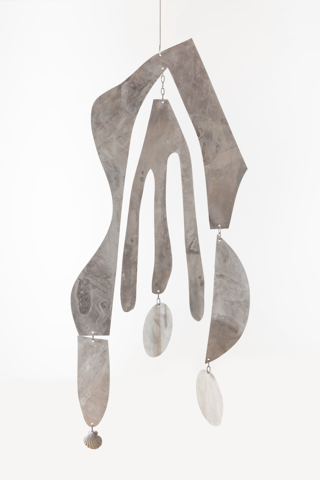Fay Ray, Seaweed, 2021