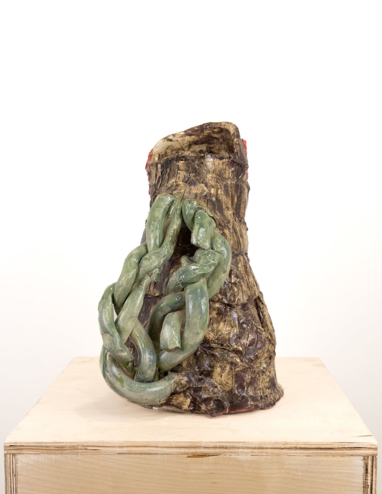 Kjelshus Collins, Everywhere It's Just the Tropics, 2021