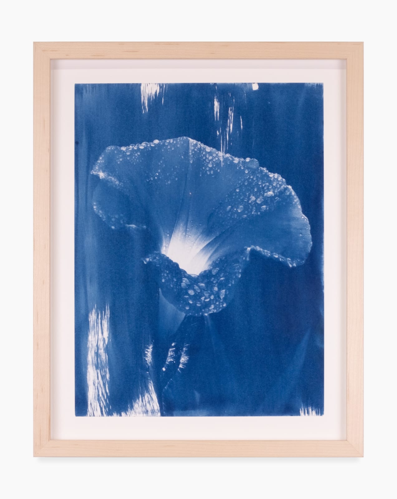 Leah Shirley, Chariot VII, 2024 Sibyl Gallery