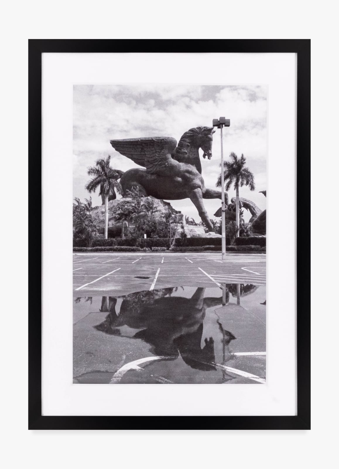 A black and white photograph by Tommy Malekoff of a large winged horse sculpture flanked by palm trees. The photo is taken from an empty parking lot. The horse's reflection appears in a large puddle.
