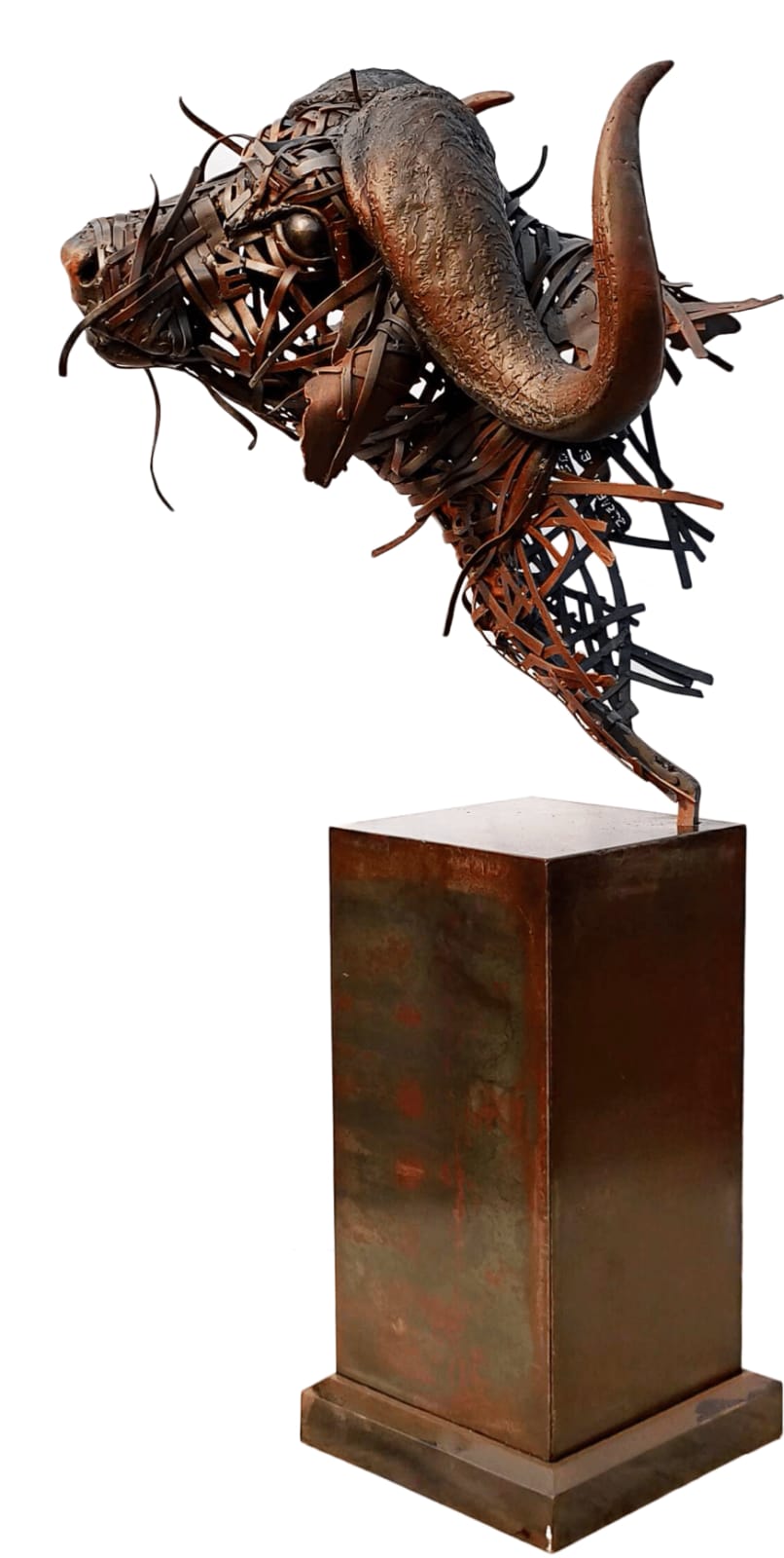 Steve Ekpenisi, Okeñ anu kèwé eson aza ëfan III “humans affiliates with reputable animals”, 2019