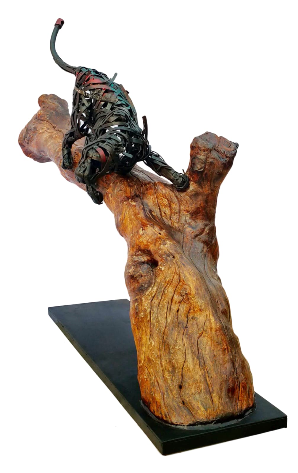 Steve Ekpenisi, Okeñ anu kèwé eson aza ëfan IV “Humans affiliates with reputable animals”, 2019