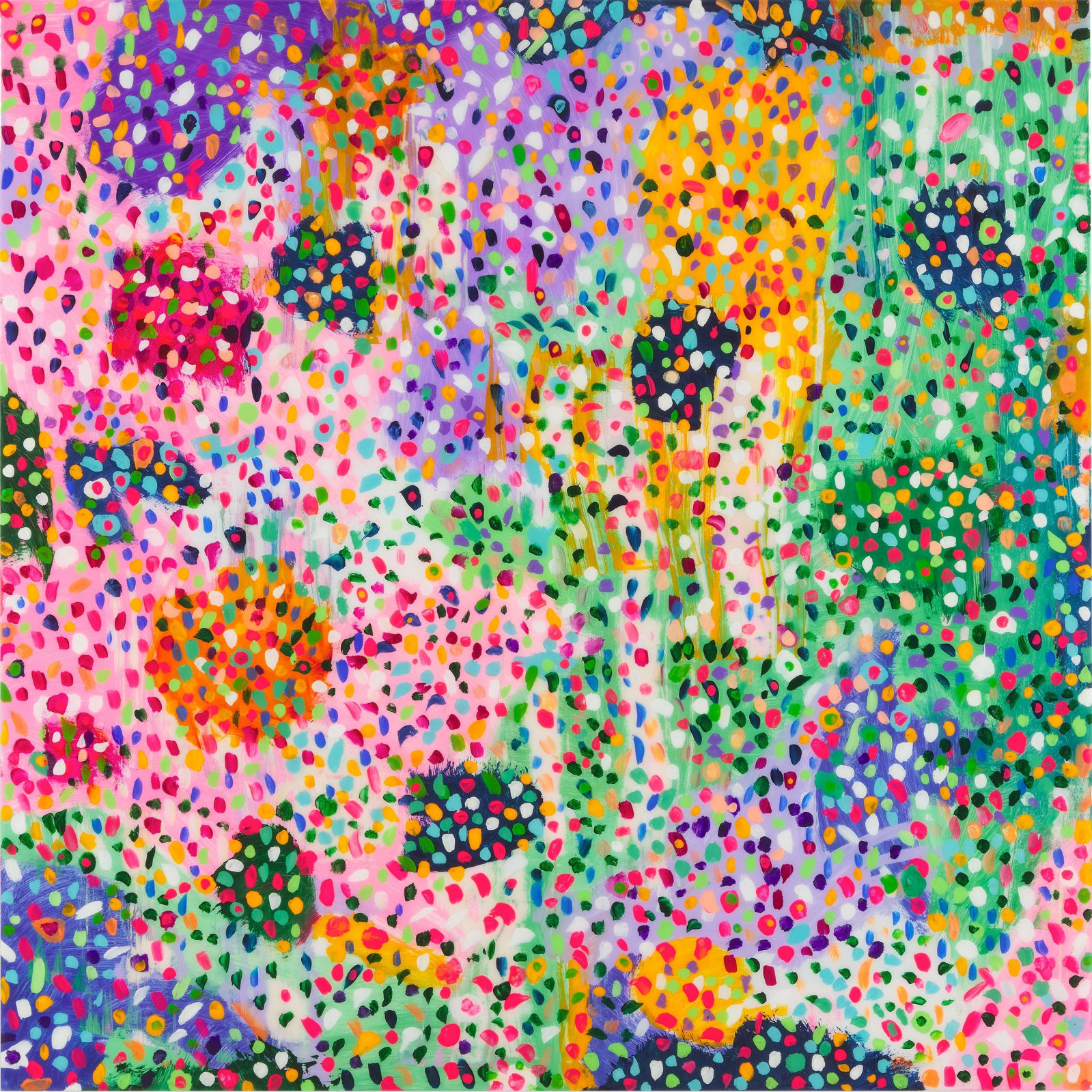 Gianluca Patti, Maps Policromo, 2025