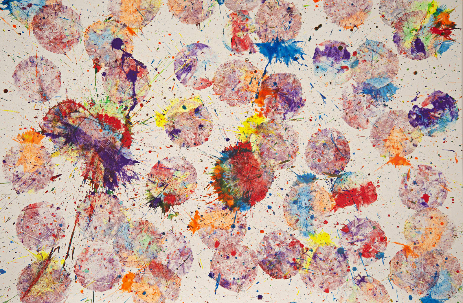 Marco Adamo, Aurora Australe, 2024