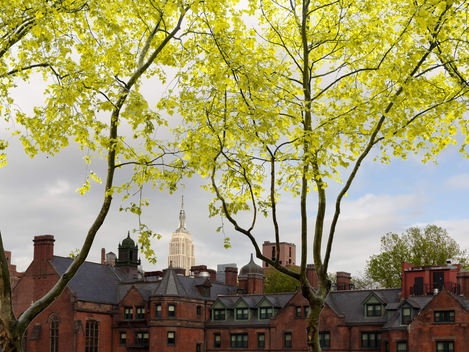 Mario Flores, The General Theological Seminary - NYC, 2022