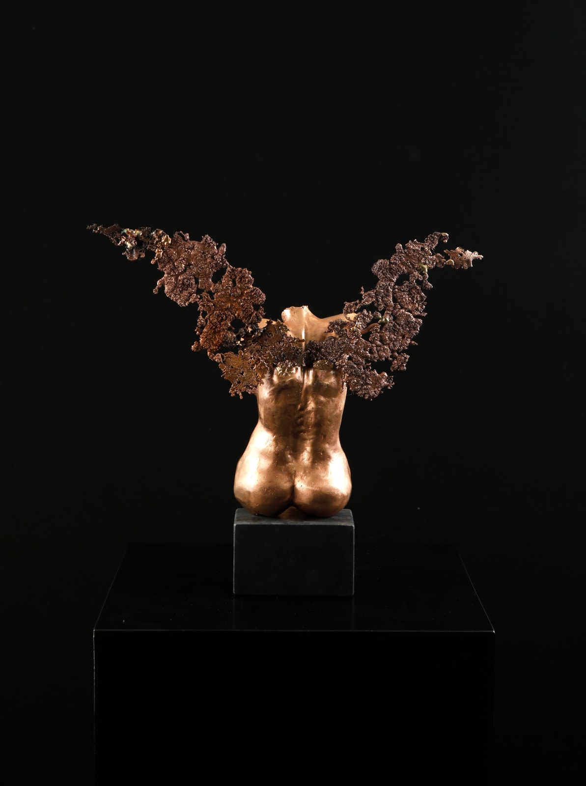 Malisa Catalani, Butterfly, 2024