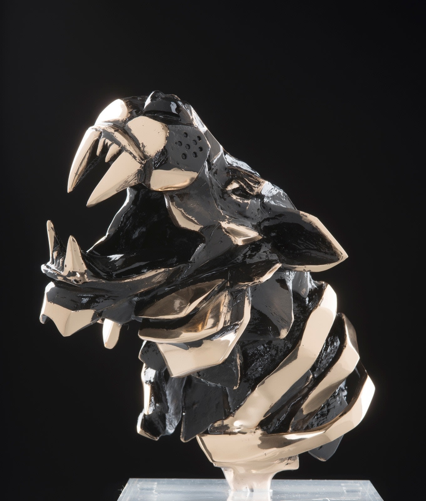 Sabrina Ferrari, Tiger's Soul