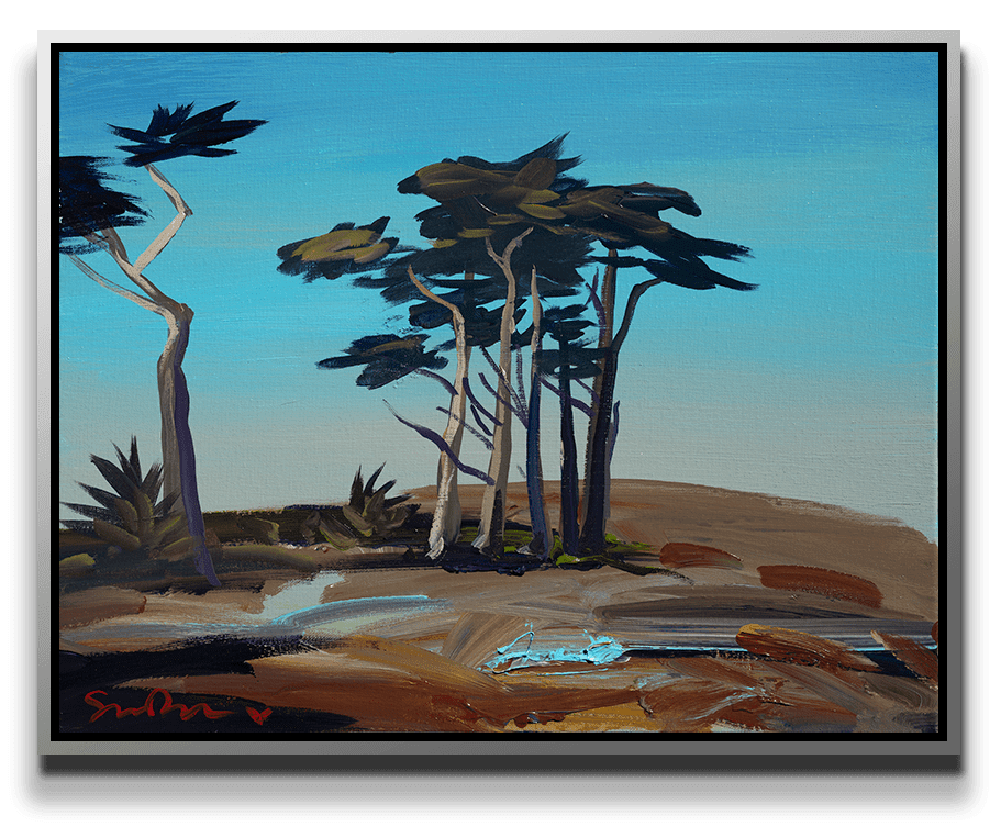 Simon Bull, Point Reyes Cypress, 2022