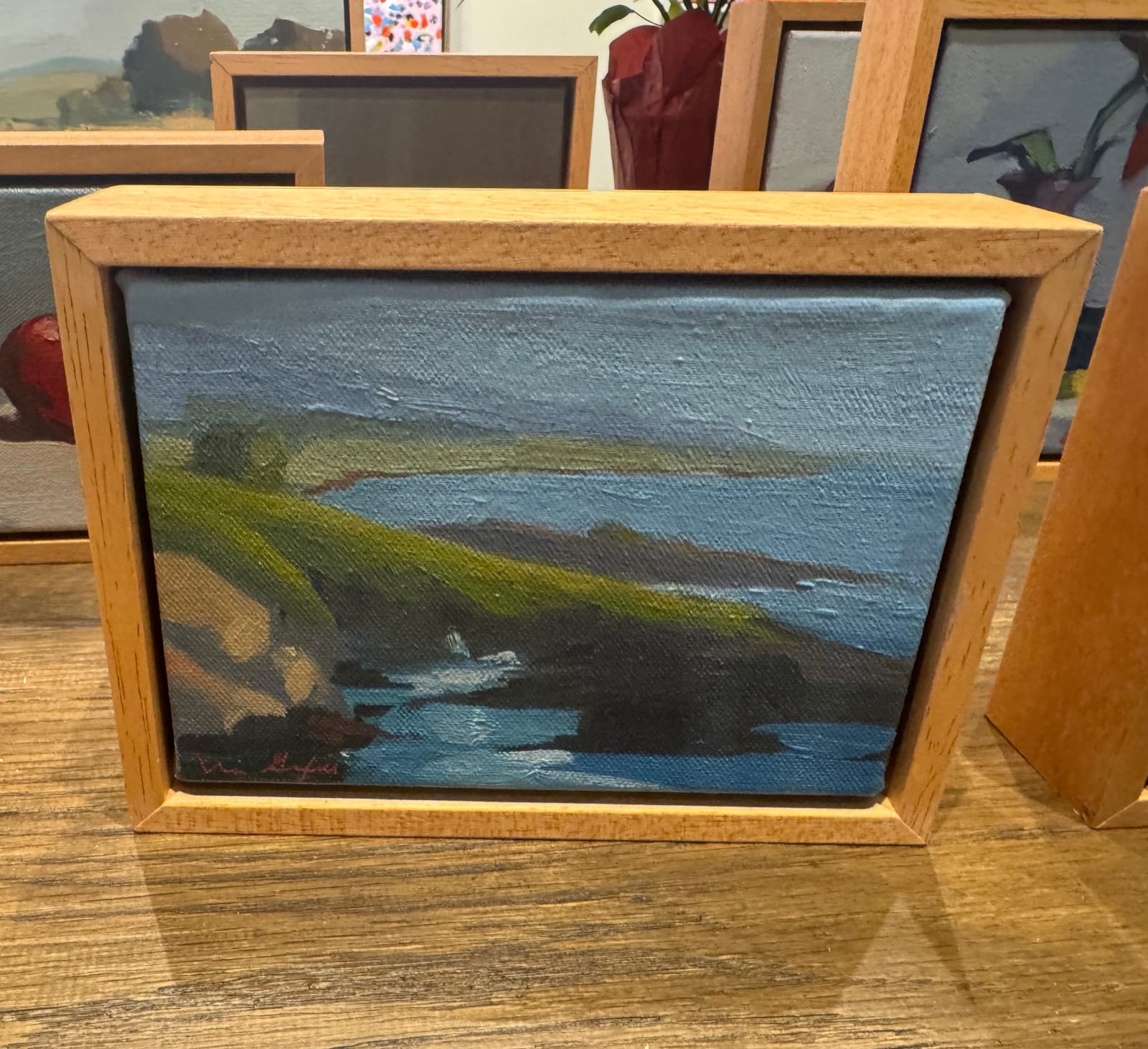 Erin Lee Gafill, California Cove, 2025