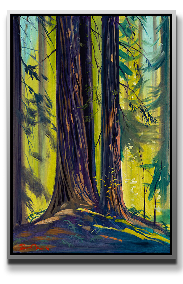 Simon Bull, Muir Woods, 2025
