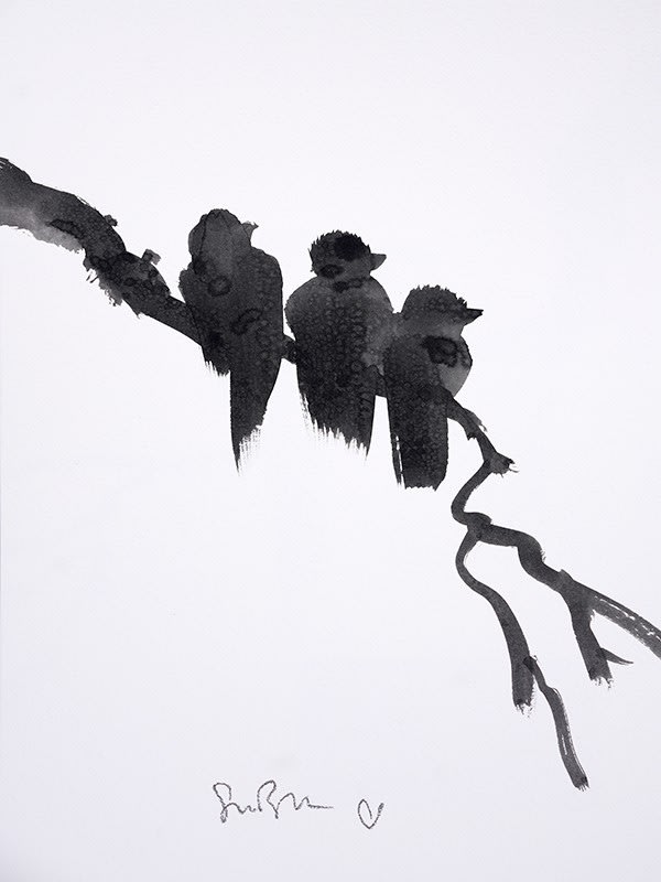 Simon Bull, Bird Study, 2020