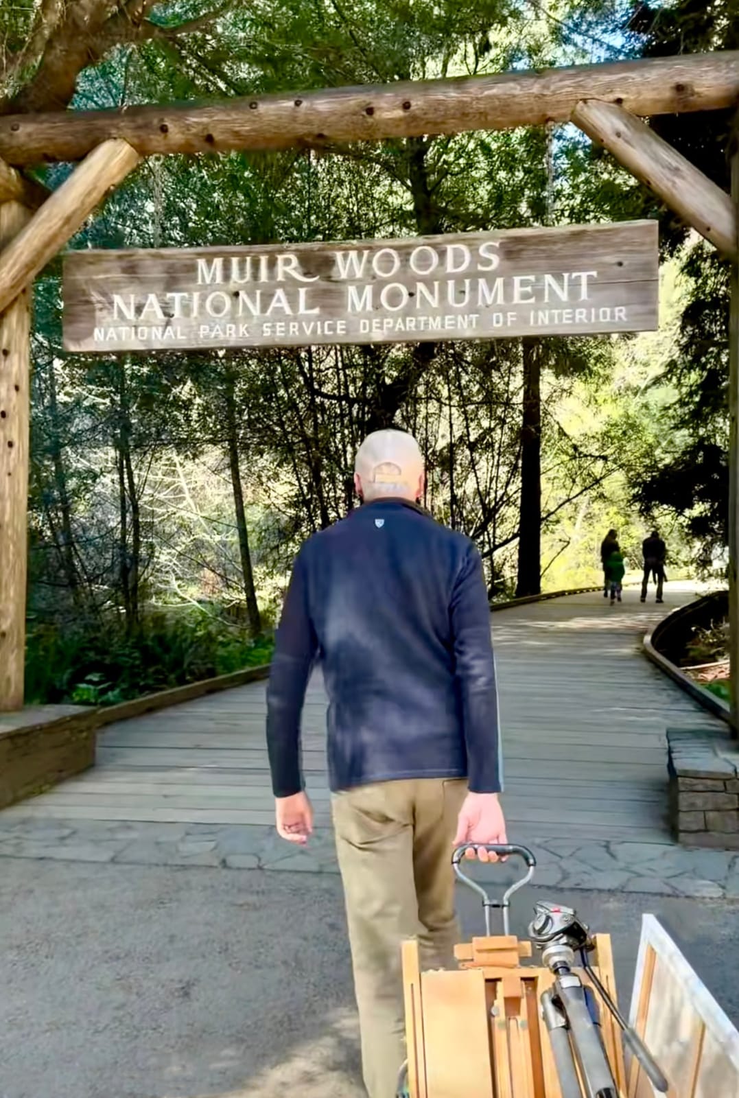 Simon Bull, Redwood Shade, 2025