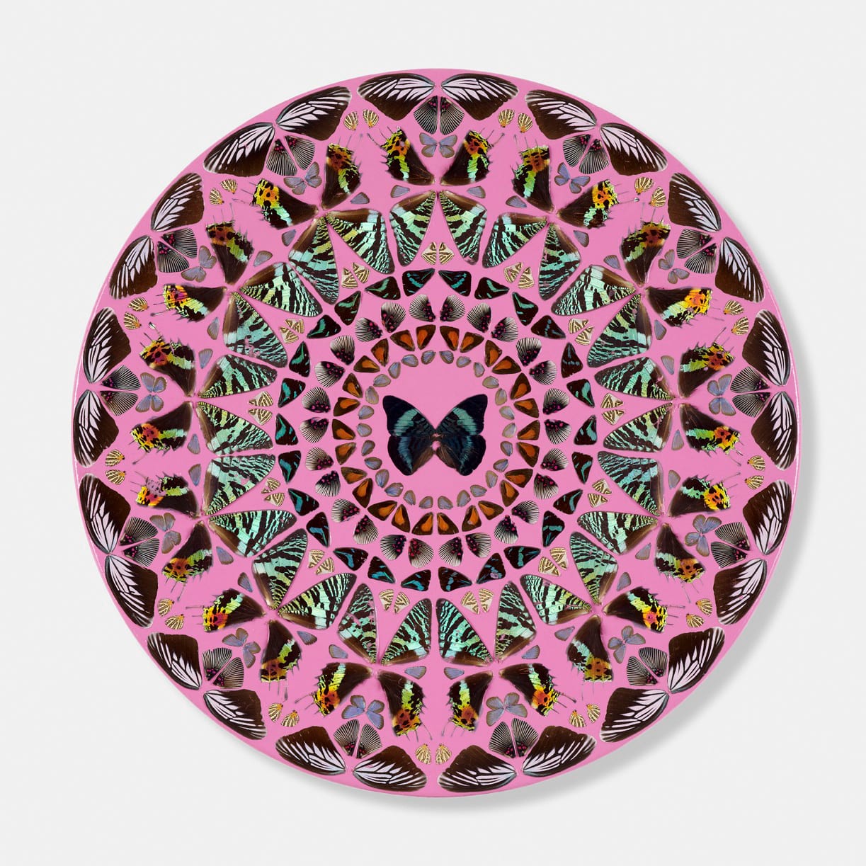 Damien Hirst, Psalm 142: Voce mea ad Dominum | 诗篇 142:主宰之声, 2008