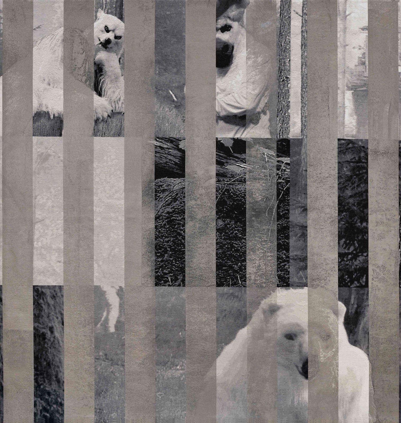 Goshka Macuga, Hidden Until Circumstances Are Suitable (Polar Bear and Wolf) ｜隐藏到环境适宜为止（北极熊和狼）, 2020