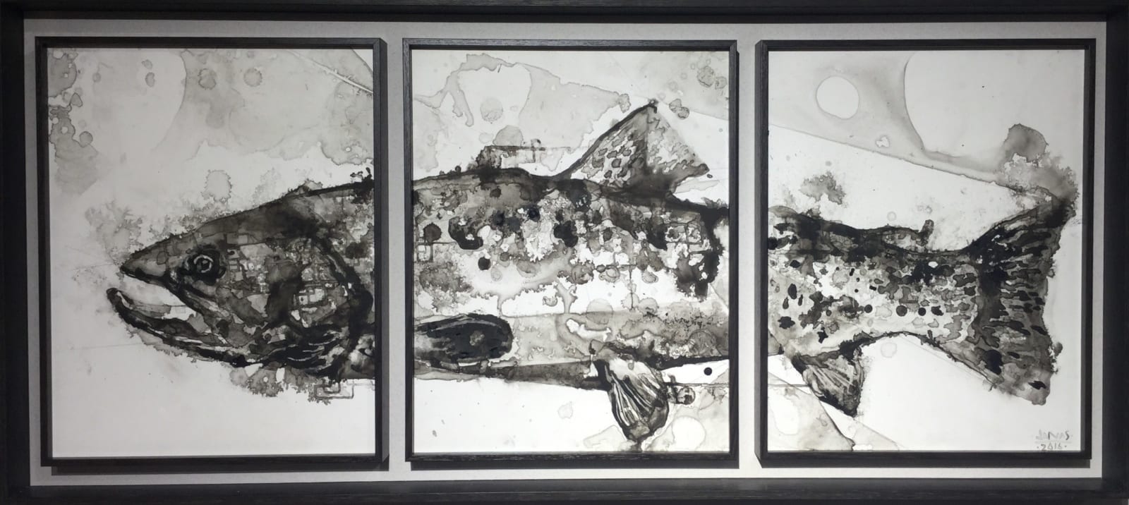 Jonas Fahnestock, Trout