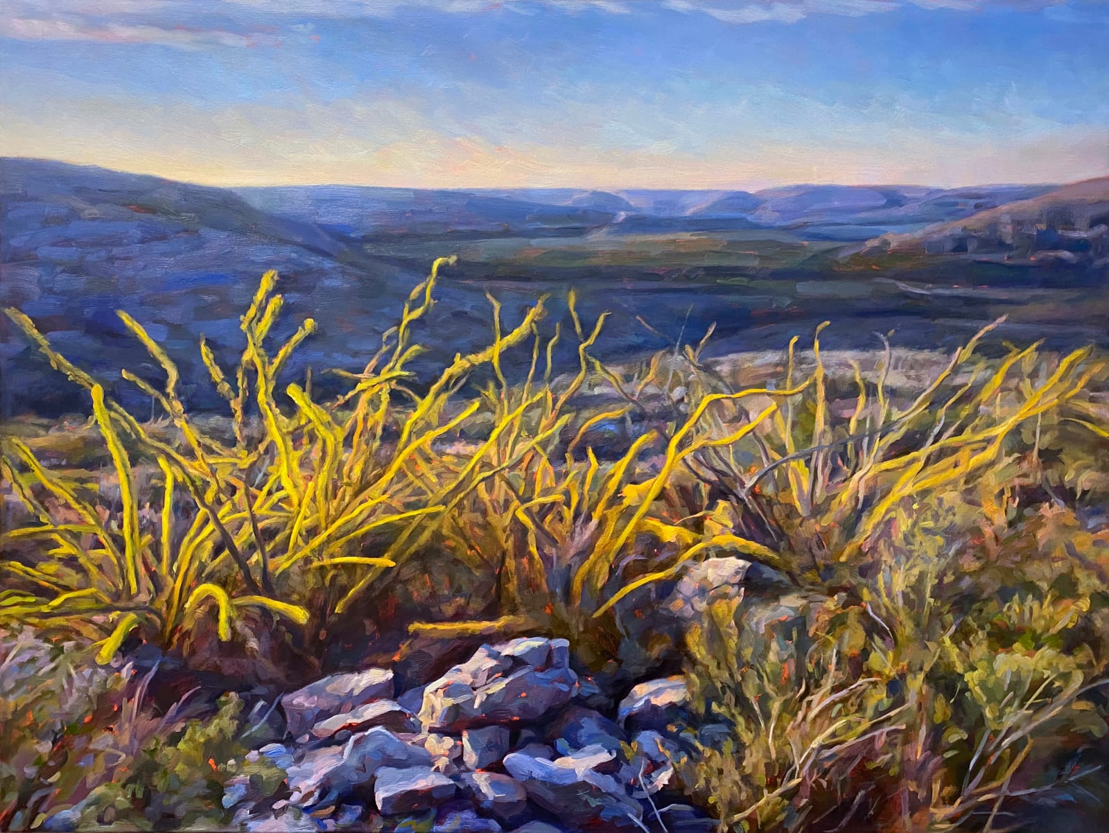 Felice House, Ocotillo at Dawn, Devils River State Natural Area, 2021