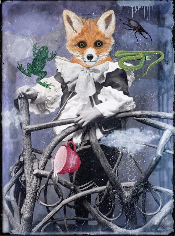 Alexandra Eldridge, Fox Divining