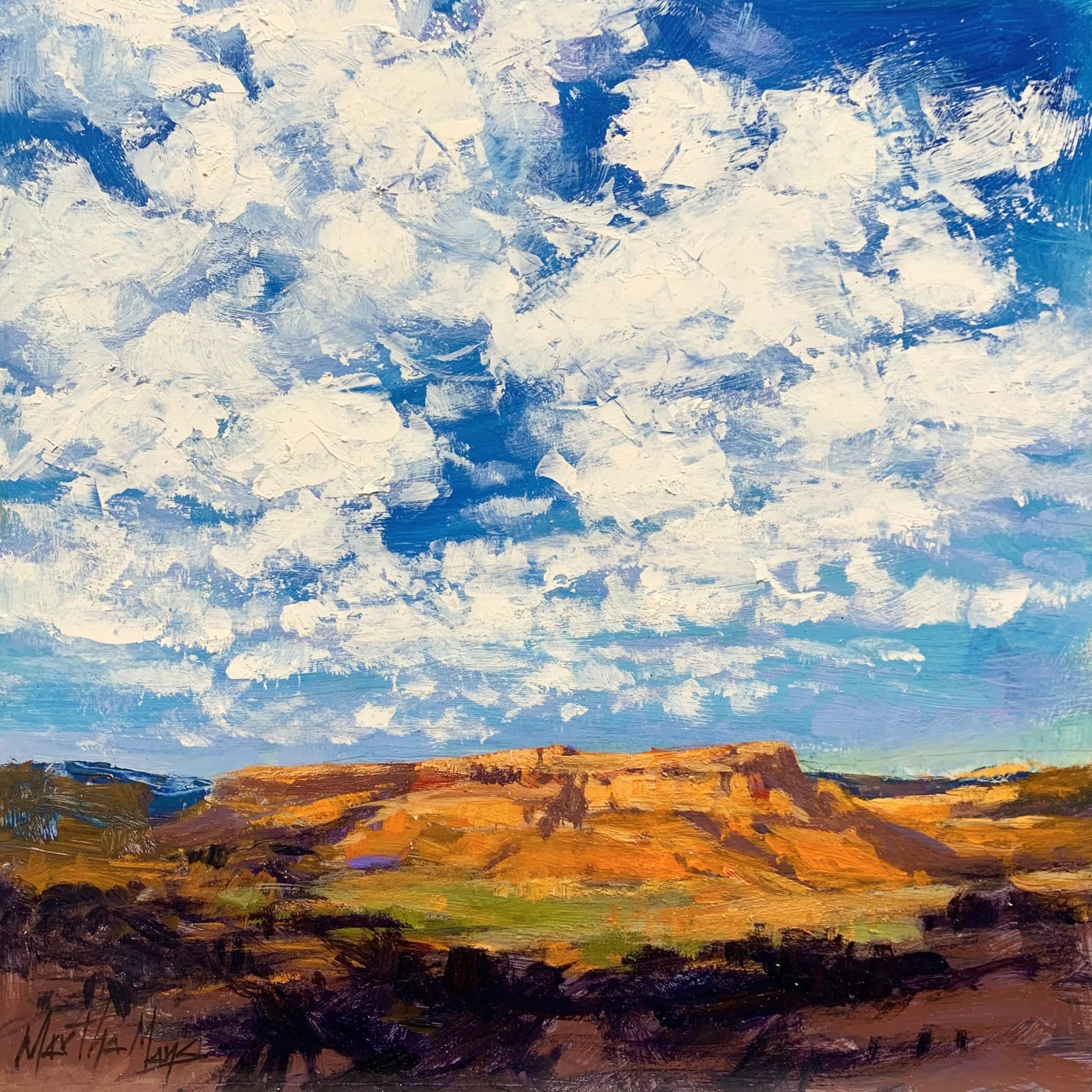 Martha Mans, Summer Sky