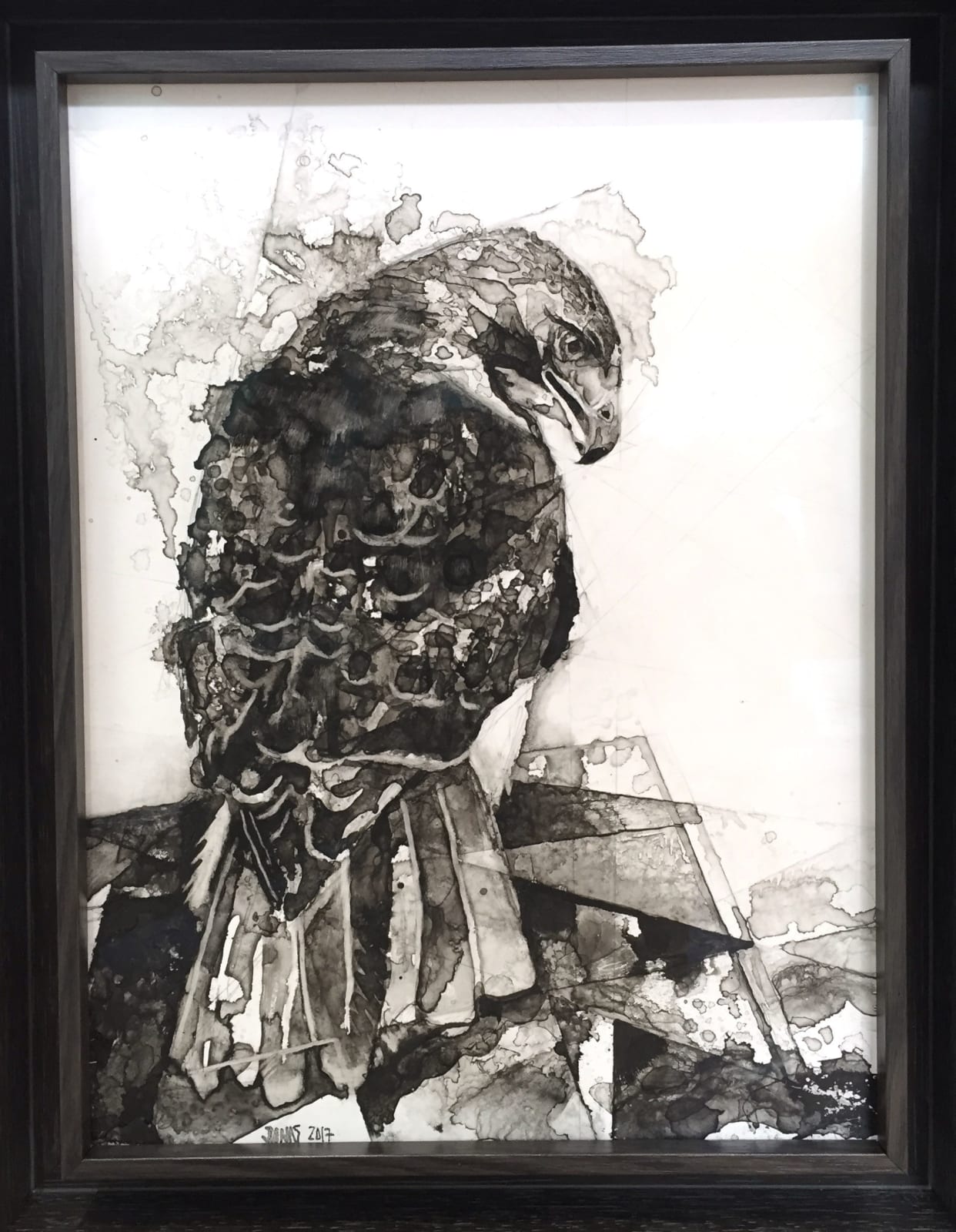 Jonas Fahnestock, Eagle
