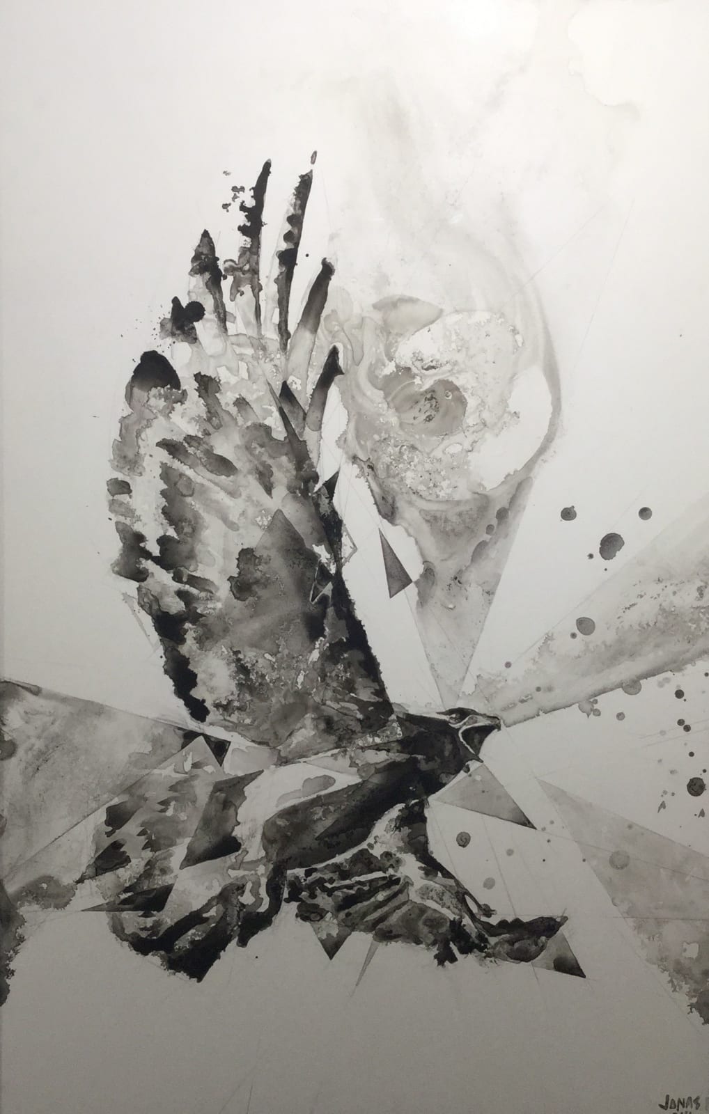 Jonas Fahnestock, Hawk