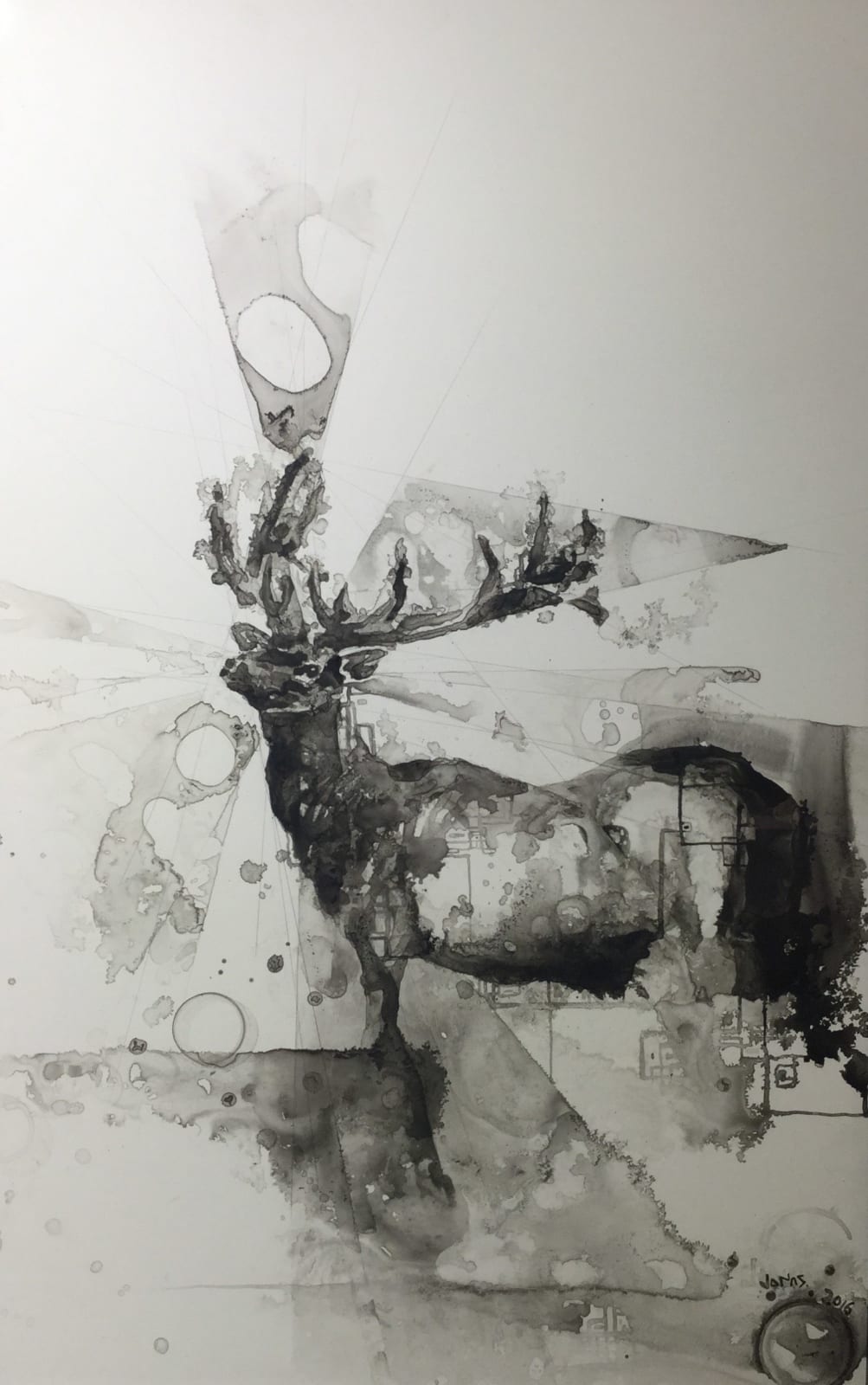 Jonas Fahnestock, Elk