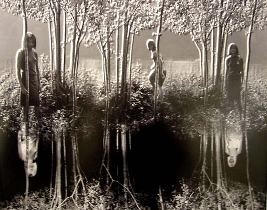 Jerry Uelsmann, Small Woods Where I Met Myself, 1967