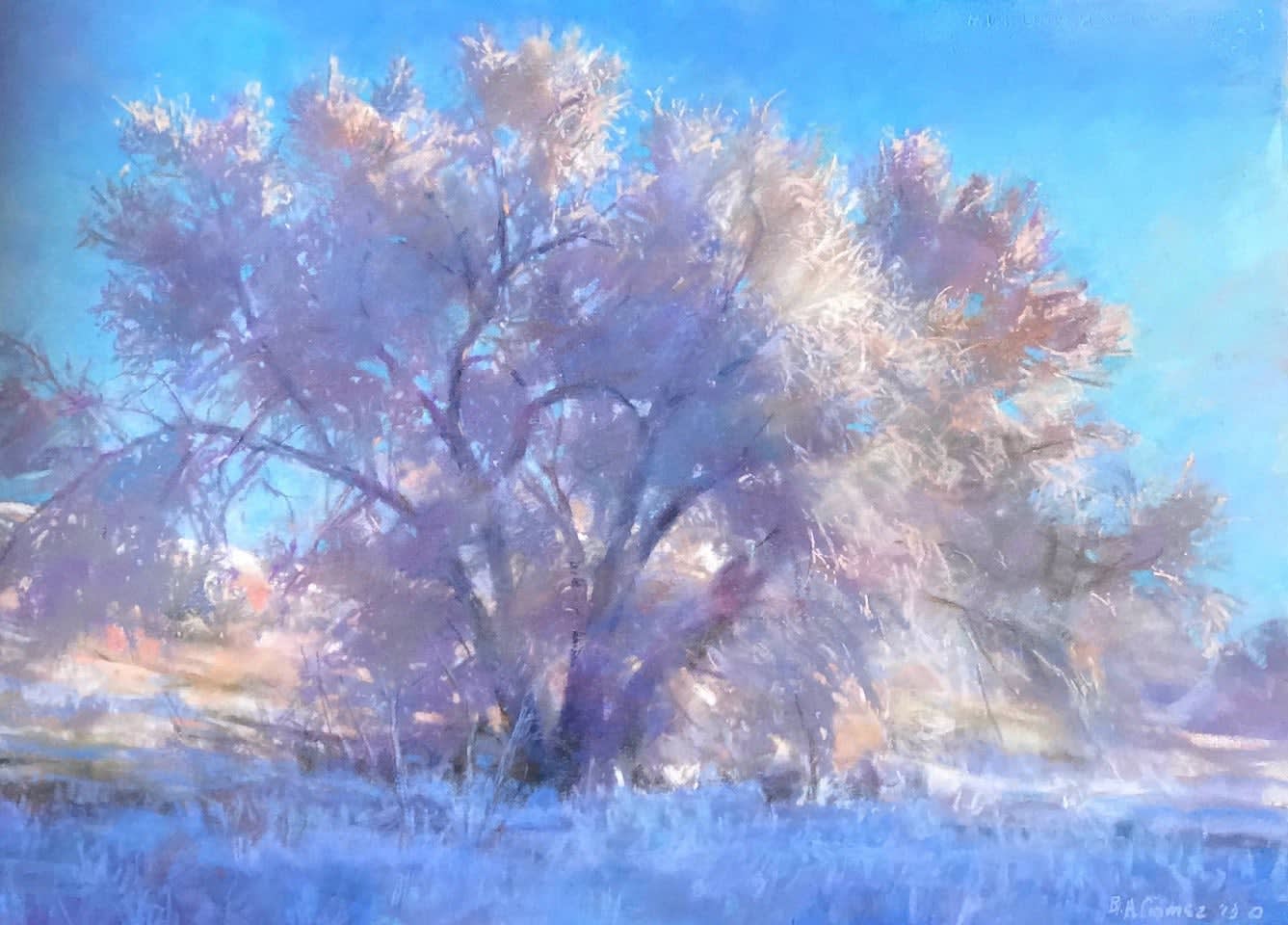 Bruce A. Gomez, Cottonwood, 2019