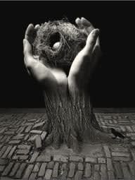Jerry Uelsmann, Journey Into Night, 2006