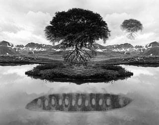 Jerry Uelsmann, Untitled, 1969 (Floating Tree), 1969