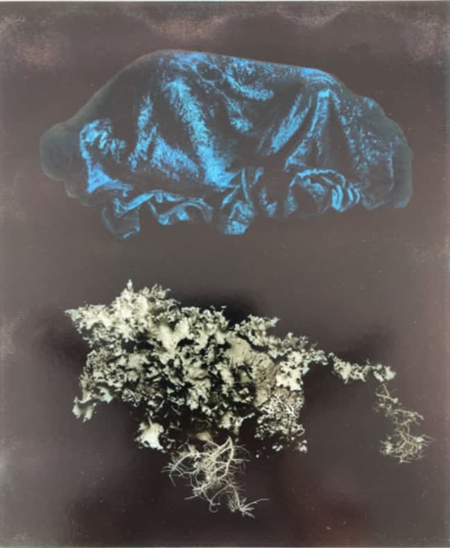 Jerry Uelsmann, Untitled, 1968 (Blue Fabric and Lichen Abstract), 1968