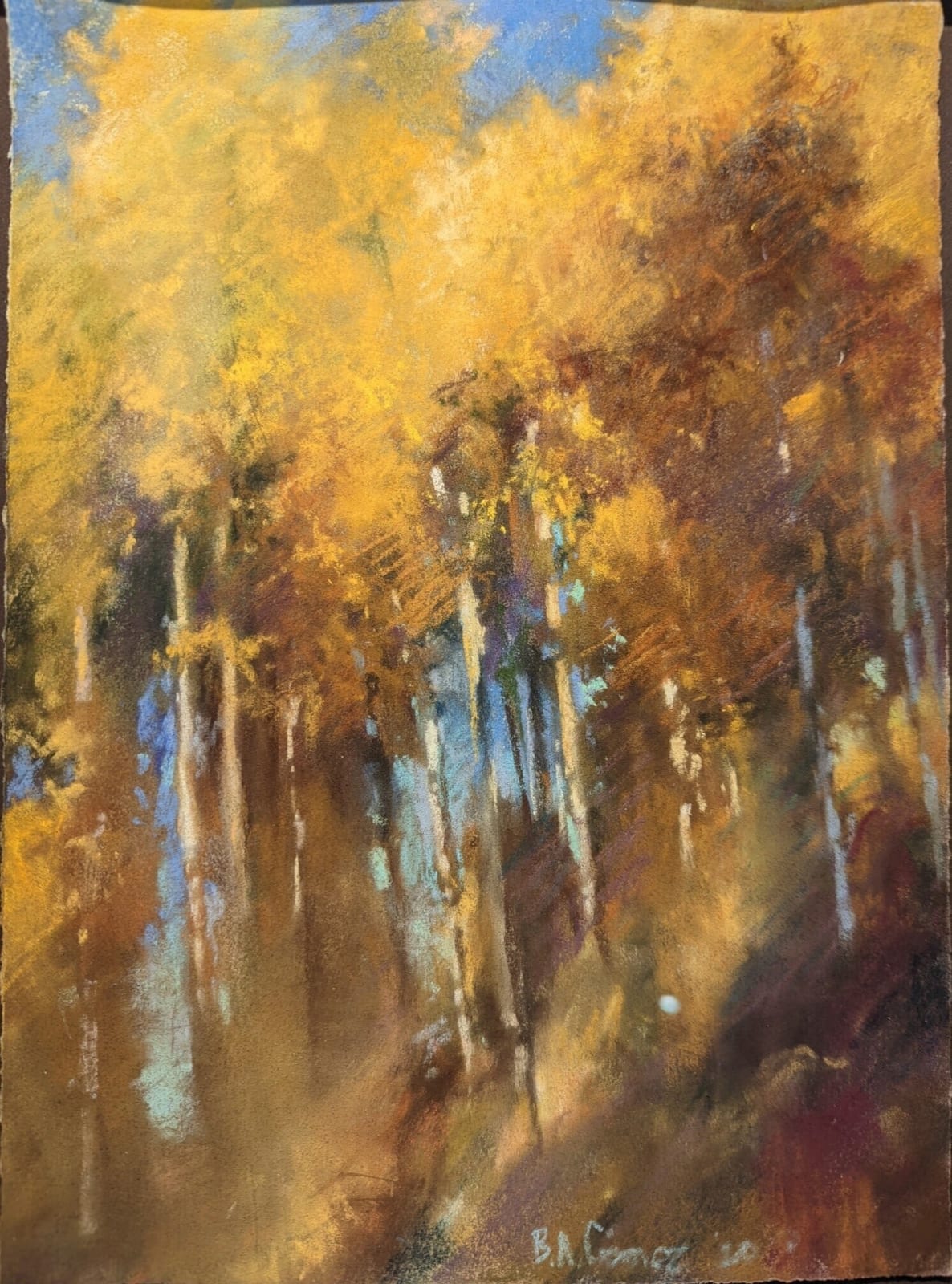 Bruce A. Gomez, Powell's Aspen Sketch, 2020