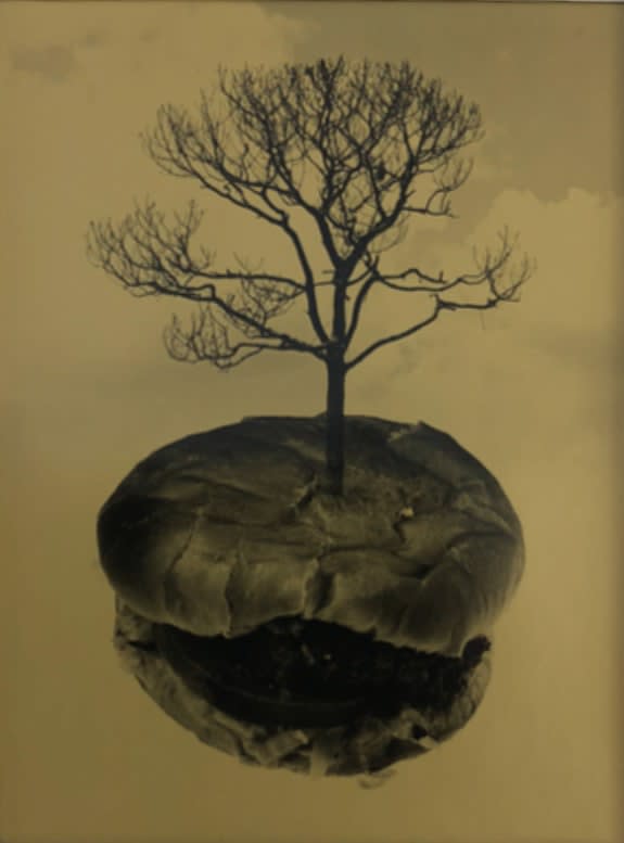 Jerry Uelsmann, Little Golden Hamburger Tree, 1970
