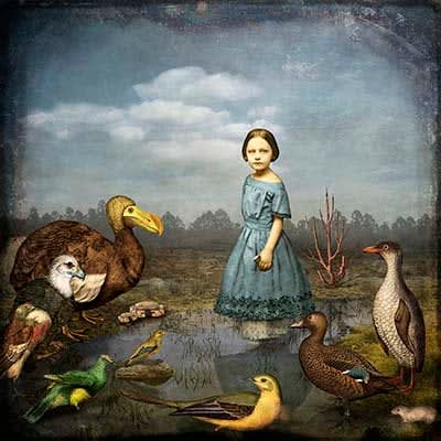 Maggie Taylor, But Who Has Won?, 2007