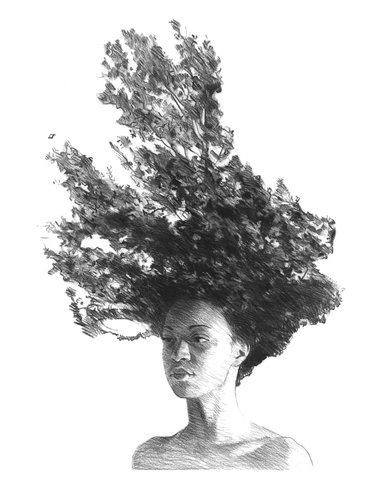 Felice House, Nedah Tree